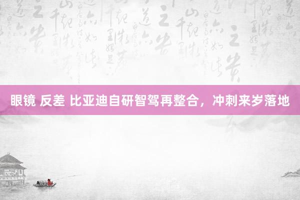 眼镜 反差 比亚迪自研智驾再整合，冲刺来岁落地