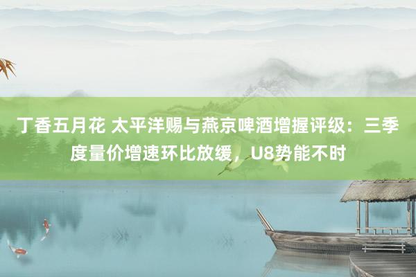 丁香五月花 太平洋赐与燕京啤酒增握评级：三季度量价增速环比放缓，U8势能不时