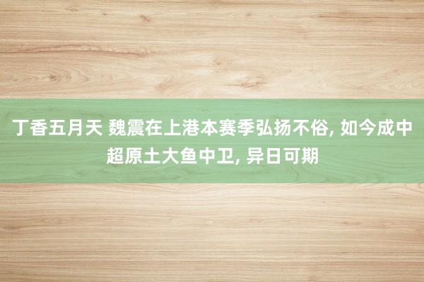 丁香五月天 魏震在上港本赛季弘扬不俗， 如今成中超原土大鱼中卫， 异日可期