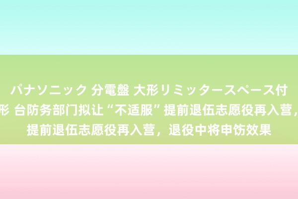 パナソニック 分電盤 大形リミッタースペース付 露出・半埋込両用形 台防务部门拟让“不适服”提前退伍志愿役再入营，退役中将申饬效果