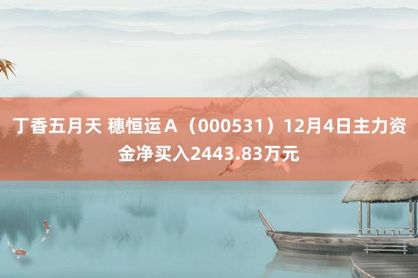 丁香五月天 穗恒运Ａ（000531）12月4日主力资金净买入2443.83万元