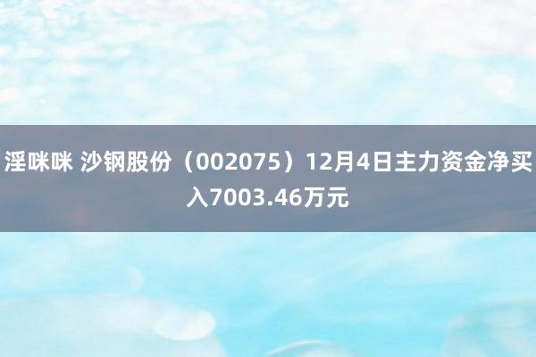 淫咪咪 沙钢股份（002075）12月4日主力资金净买入7003.46万元