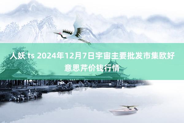 人妖 ts 2024年12月7日宇宙主要批发市集欧好意思芹价钱行情