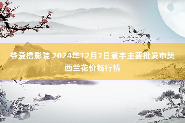 爷爱撸影院 2024年12月7日寰宇主要批发市集西兰花价钱行情