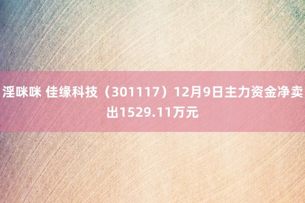 淫咪咪 佳缘科技（301117）12月9日主力资金净卖出1529.11万元