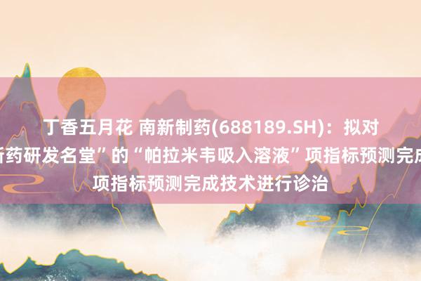 丁香五月花 南新制药(688189.SH)：拟对募投名堂“鼎新药研发名堂”的“帕拉米韦吸入溶液”项指标预测完成技术进行诊治