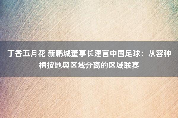 丁香五月花 新鹏城董事长建言中国足球：从容种植按地舆区域分离的区域联赛