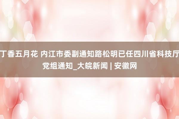 丁香五月花 内江市委副通知路松明已任四川省科技厅党组通知_大皖新闻 | 安徽网