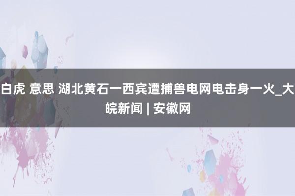 白虎 意思 湖北黄石一西宾遭捕兽电网电击身一火_大皖新闻 | 安徽网