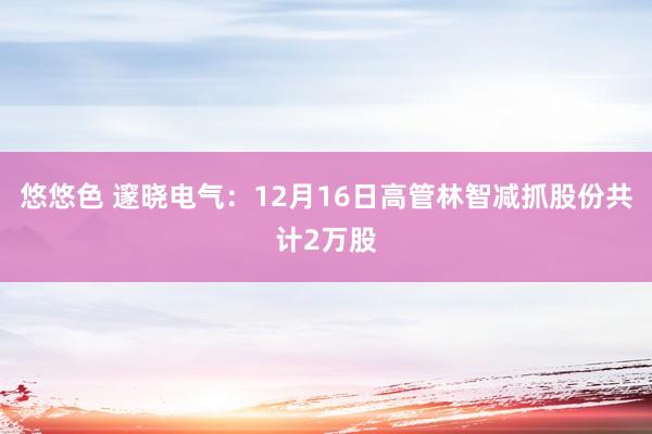 悠悠色 邃晓电气：12月16日高管林智减抓股份共计2万股