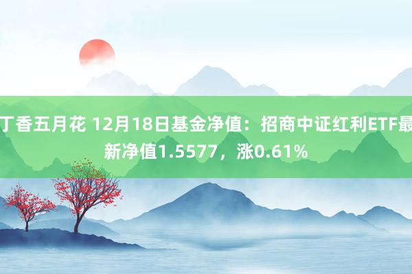 丁香五月花 12月18日基金净值：招商中证红利ETF最新净值1.5577，涨0.61%