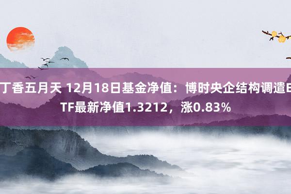 丁香五月天 12月18日基金净值：博时央企结构调遣ETF最新净值1.3212，涨0.83%