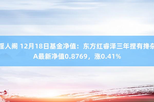 淫人阁 12月18日基金净值：东方红睿泽三年捏有搀杂A最新净值0.8769，涨0.41%