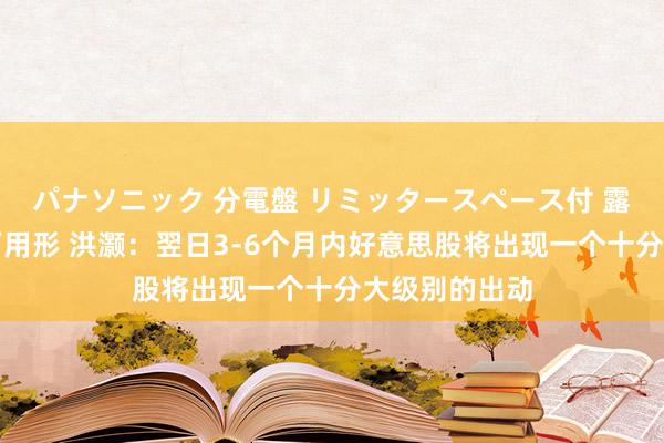パナソニック 分電盤 リミッタースペース付 露出・半埋込両用形 洪灏：翌日3-6个月内好意思股将出现一个十分大级别的出动