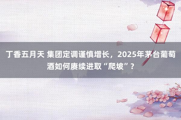 丁香五月天 集团定调谨慎增长，2025年茅台葡萄酒如何赓续进取“爬坡”？