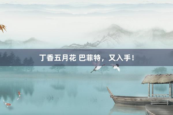 丁香五月花 巴菲特，又入手！