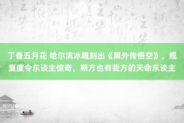 丁香五月花 哈尔滨冰雕刻出《黑外传悟空》，规复度令东谈主惊奇，朔方也有我方的天命东谈主