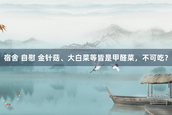 宿舍 自慰 金针菇、大白菜等皆是甲醛菜，不可吃？