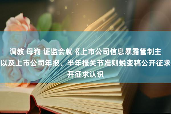 调教 母狗 证监会就《上市公司信息暴露管制主义》以及上市公司年报、半年报关节准则蜕变稿公开征求认识