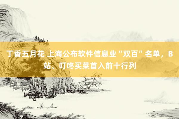 丁香五月花 上海公布软件信息业“双百”名单，B站、叮咚买菜首入前十行列