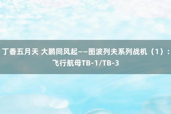 丁香五月天 大鹏同风起——图波列夫系列战机（1）：飞行航母TB-1/TB-3