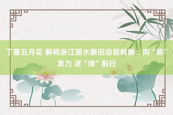 丁香五月花 解码浙江丽水新旧动能转换：向“新”发力 逐“绿”前行