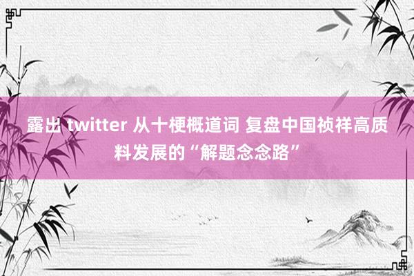 露出 twitter 从十梗概道词 复盘中国祯祥高质料发展的“解题念念路”