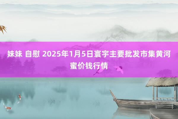 妹妹 自慰 2025年1月5日寰宇主要批发市集黄河蜜价钱行情