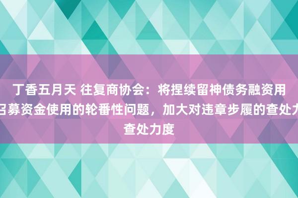 丁香五月天 往复商协会：将捏续留神债务融资用具召募资金使用的轮番性问题，加大对违章步履的查处力度