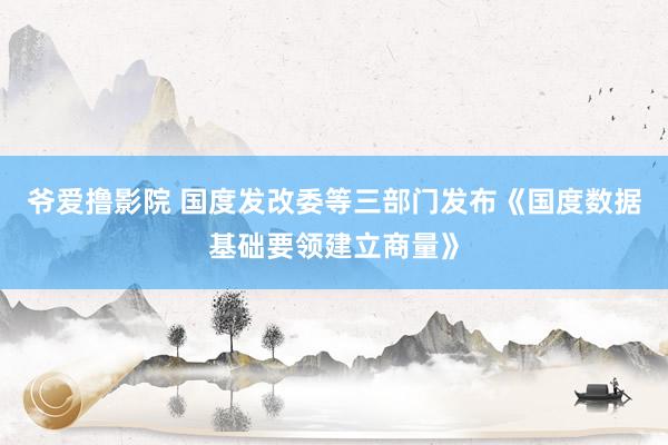 爷爱撸影院 国度发改委等三部门发布《国度数据基础要领建立商量》