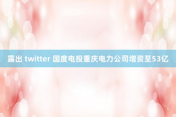 露出 twitter 国度电投重庆电力公司增资至53亿