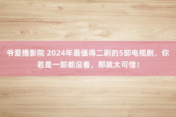 爷爱撸影院 2024年最值得二刷的5部电视剧，你若是一部都没看，那就太可惜！