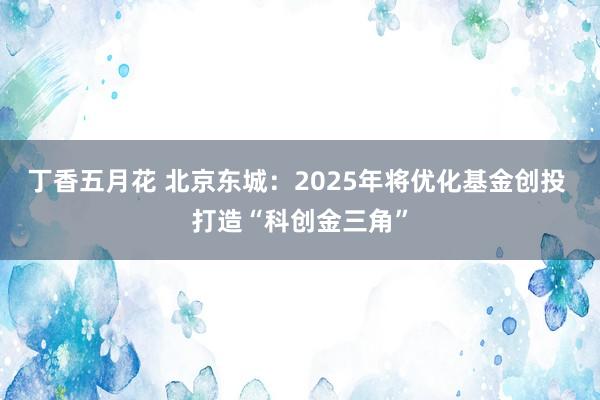 丁香五月花 北京东城：2025年将优化基金创投 打造“科创金三角”