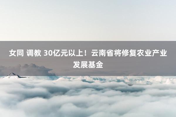 女同 调教 30亿元以上！云南省将修复农业产业发展基金