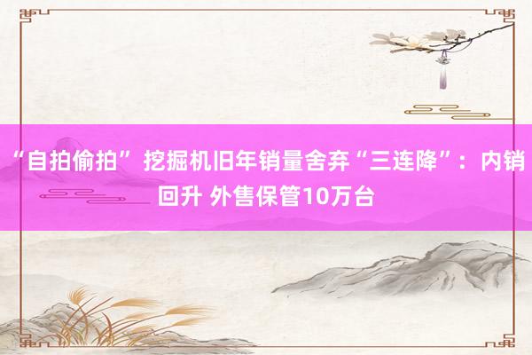 “自拍偷拍” 挖掘机旧年销量舍弃“三连降”：内销回升 外售保管10万台