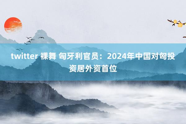 twitter 裸舞 匈牙利官员：2024年中国对匈投资居外资首位