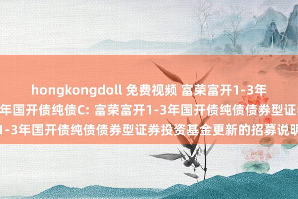 hongkongdoll 免费视频 富荣富开1-3年国开债纯债A,富荣富开1-3年国开债纯债C: 富荣富开1-3年国开债纯债债券型证券投资基金更新的招募说明书