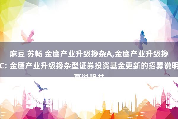 麻豆 苏畅 金鹰产业升级搀杂A,金鹰产业升级搀杂C: 金鹰产业升级搀杂型证券投资基金更新的招募说明书
