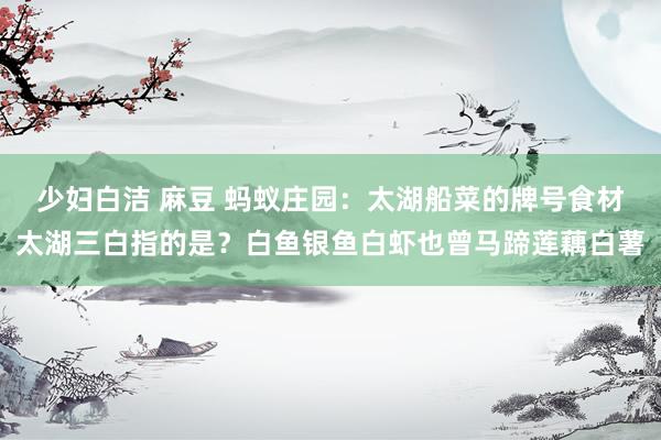 少妇白洁 麻豆 蚂蚁庄园：太湖船菜的牌号食材太湖三白指的是？白鱼银鱼白虾也曾马蹄莲藕白薯