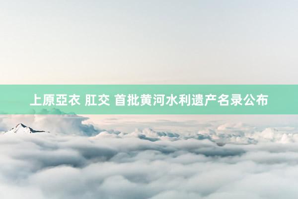 上原亞衣 肛交 首批黄河水利遗产名录公布