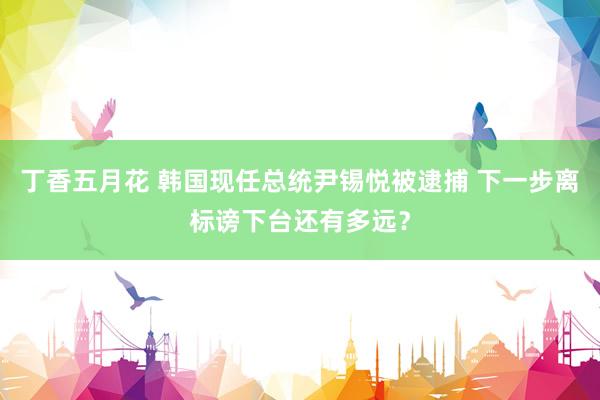 丁香五月花 韩国现任总统尹锡悦被逮捕 下一步离标谤下台还有多远？