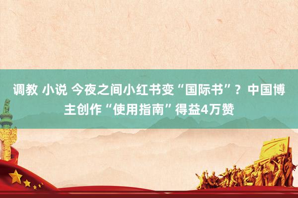 调教 小说 今夜之间小红书变“国际书”？中国博主创作“使用指南”得益4万赞