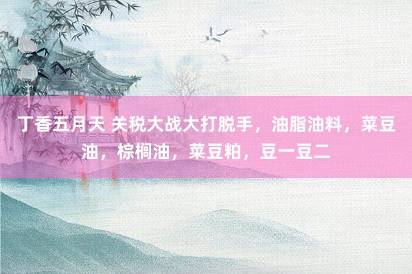 丁香五月天 关税大战大打脱手，油脂油料，菜豆油，棕榈油，菜豆粕，豆一豆二