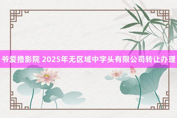 爷爱撸影院 2025年无区域中字头有限公司转让办理