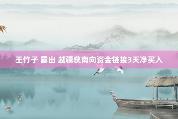 王竹子 露出 越疆获南向资金链接3天净买入