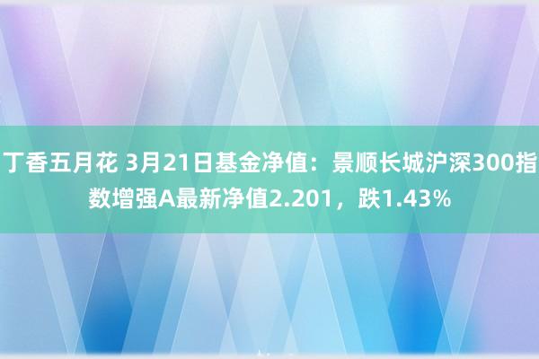 丁香五月花 3月21日基金净值：景顺长城沪深300指数增强A最新净值2.201，跌1.43%