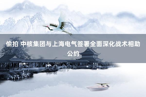 偷拍 中核集团与上海电气签署全面深化战术相助公约