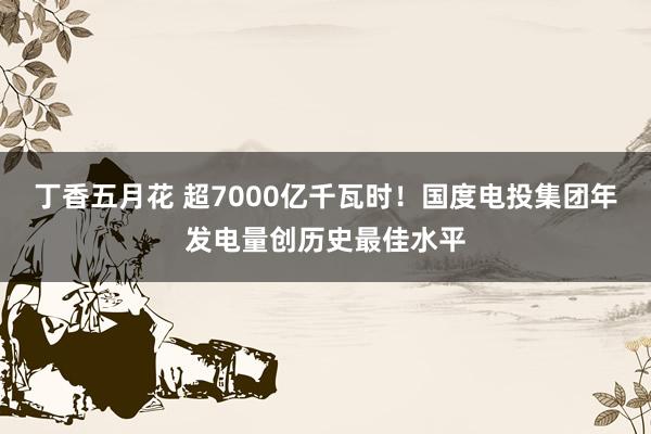 丁香五月花 超7000亿千瓦时！国度电投集团年发电量创历史最佳水平