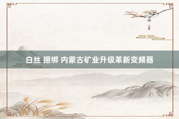 白丝 捆绑 内蒙古矿业升级革新变频器