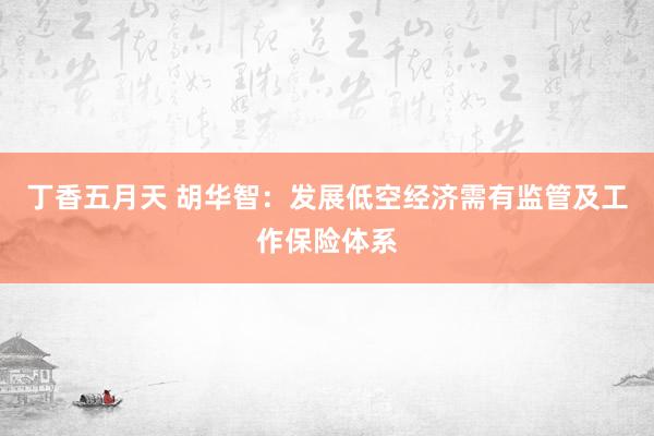 丁香五月天 胡华智：发展低空经济需有监管及工作保险体系